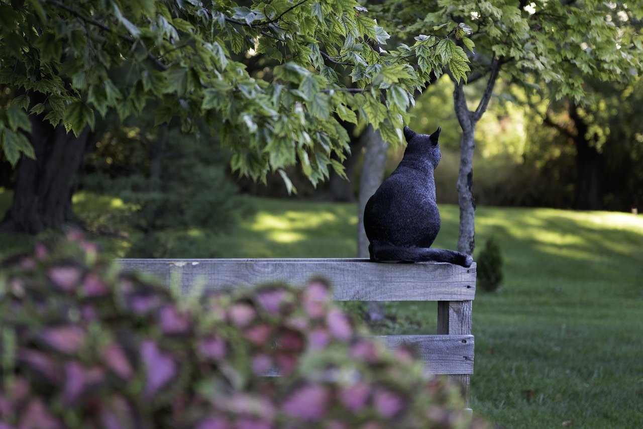 Tail Language: The Feline Mood Ring (image credits: pixabay)