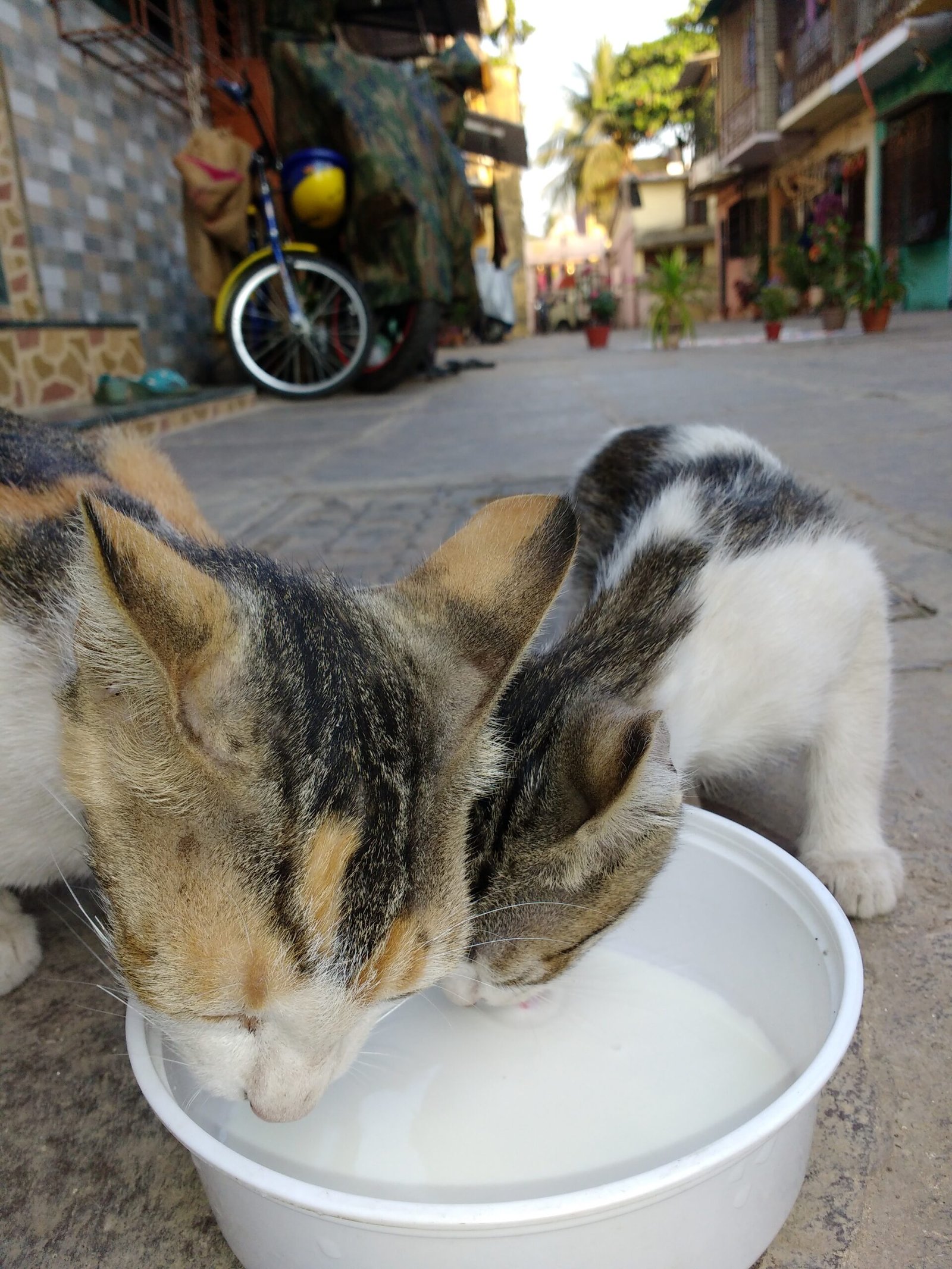 Sharing a Meal with You (image credits: wikimedia)