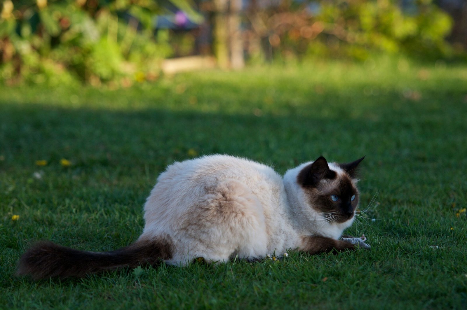 A Gentle Reminder to Take a Break (image credits: wikimedia)