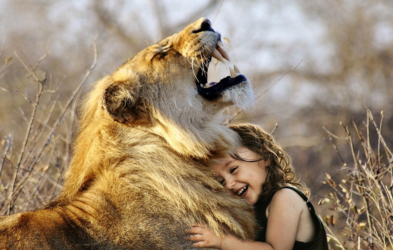 Concluding Thoughts on Emotional Awareness in Big Cats (image credits: pixabay)