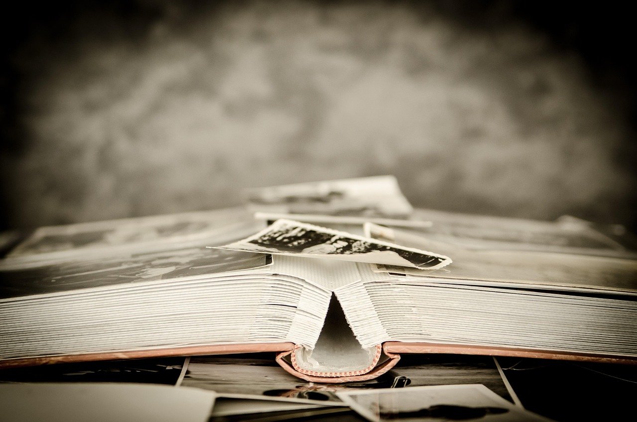 The Impact of Early Experiences on Emotional Memory (image credits: pixabay)