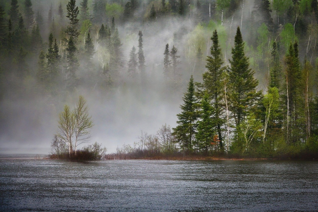 Seasonal Changes and Daylight Hours (image credits: pixabay)