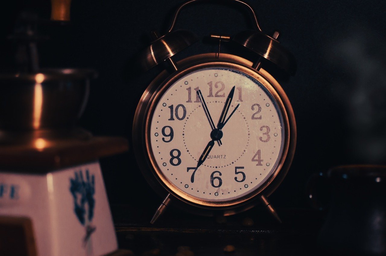 A Feline Alarm Clock (image credits: pixabay)