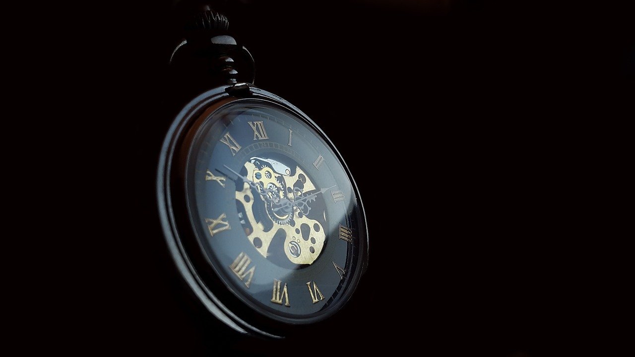 How Cats Perceive Time (image credits: pixabay)