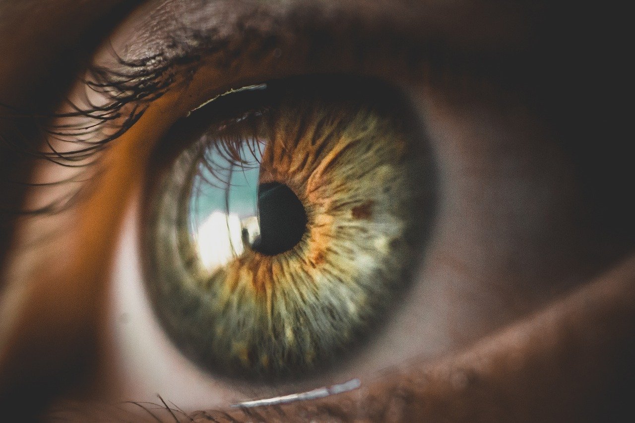 Lingering Eye Contact (image credits: pixabay)