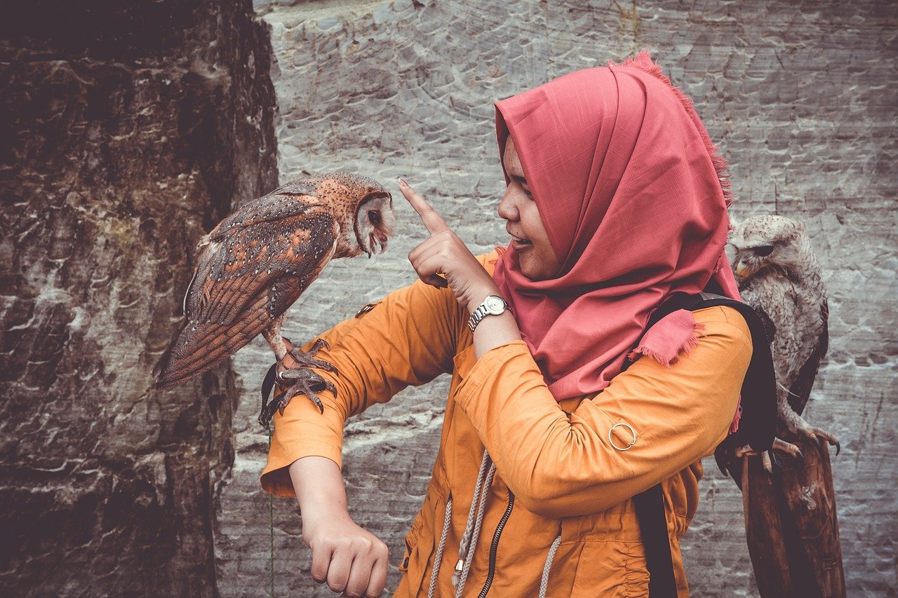 Vulnerability in Conversations (image credits: pixabay)