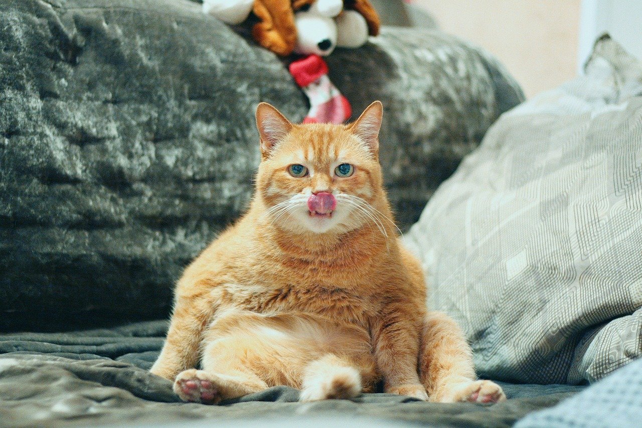 Silent Sitting (image credits: pixabay)