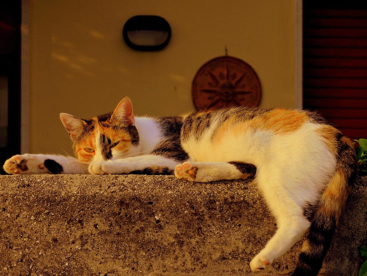 Stretching Out Fully Next To You (image credits: pixabay)