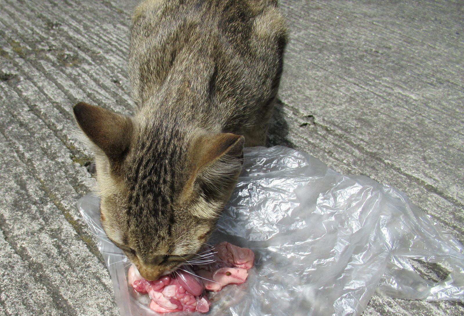 Changing Eating Habits (image credits: wikimedia)