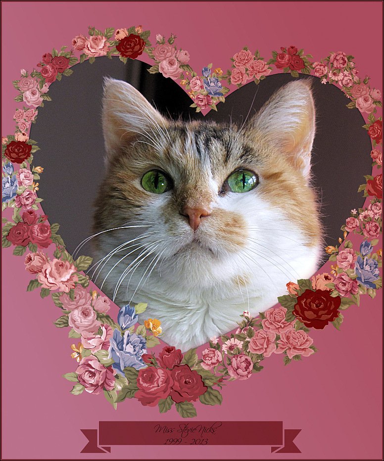 Establishing Safe Retreats (image credits: wikimedia)