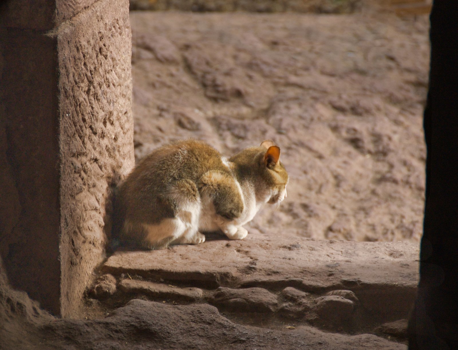 Patience and Positive Reinforcement (image credits: wikimedia)