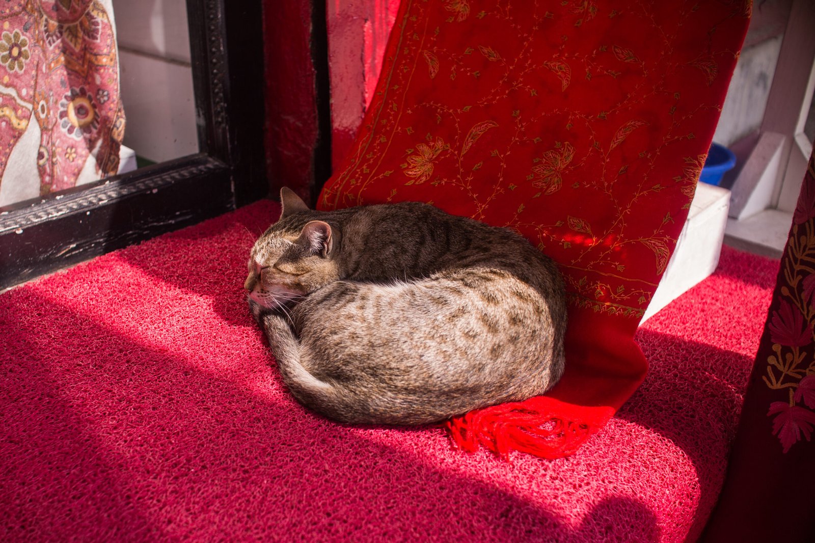 They Bring You “Gifts” (image credits: wikimedia)