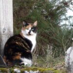 Guarding Against Intruders