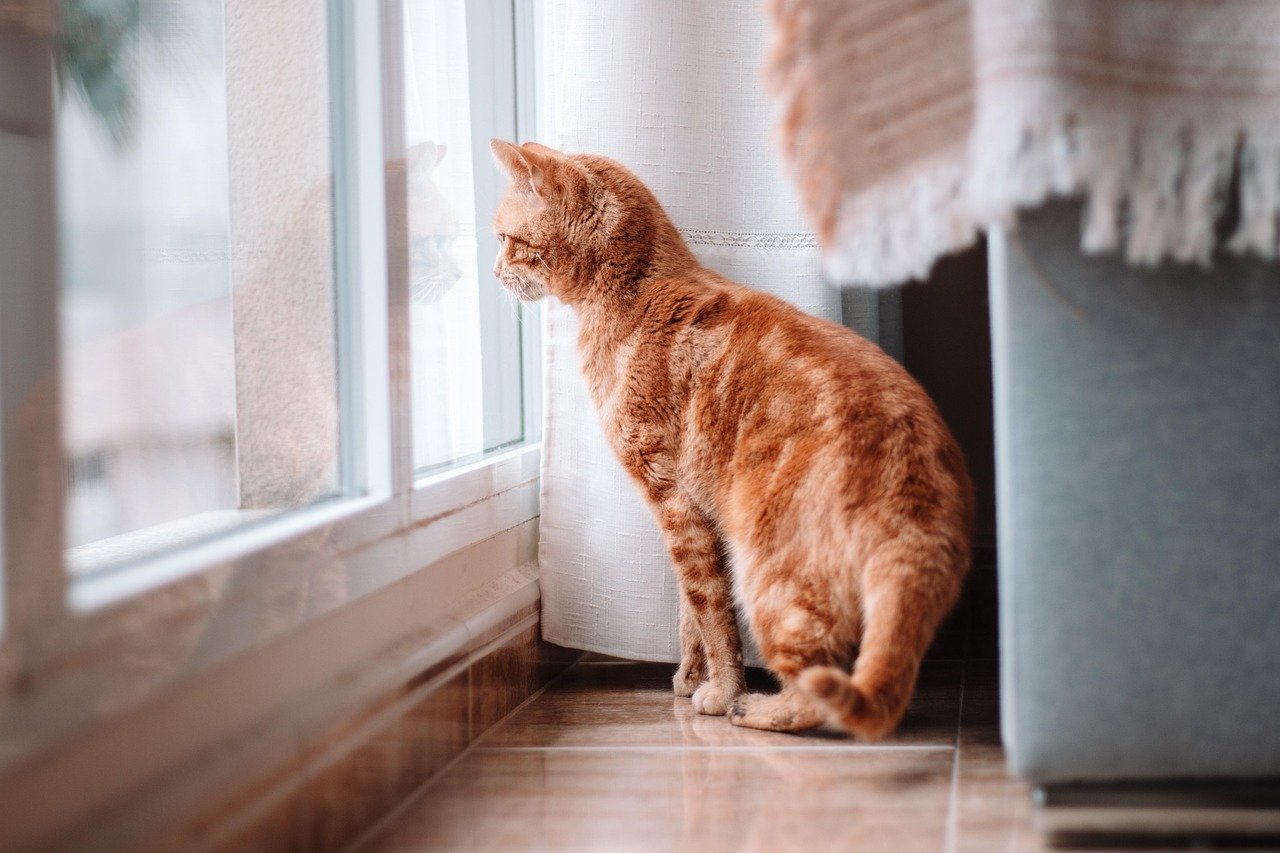 Minimize Unfamiliar Smells (image credits: pixabay)