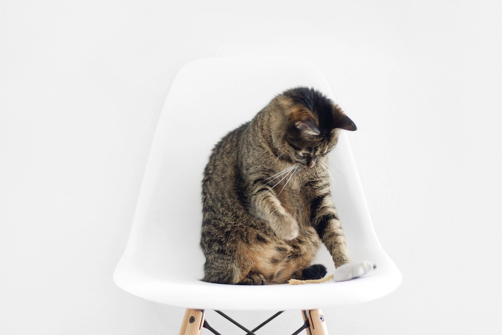 Sitting With Their Back to You (image credits: rawpixel)