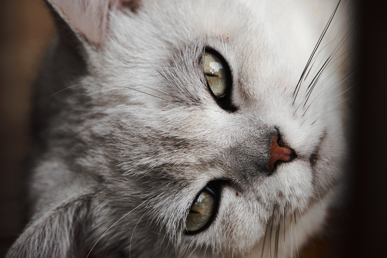 Joining You in Uncomfortable Spaces (image credits: pixabay)