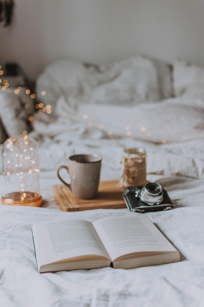 Seeking Comfort in Familiarity (image credits: pixabay)