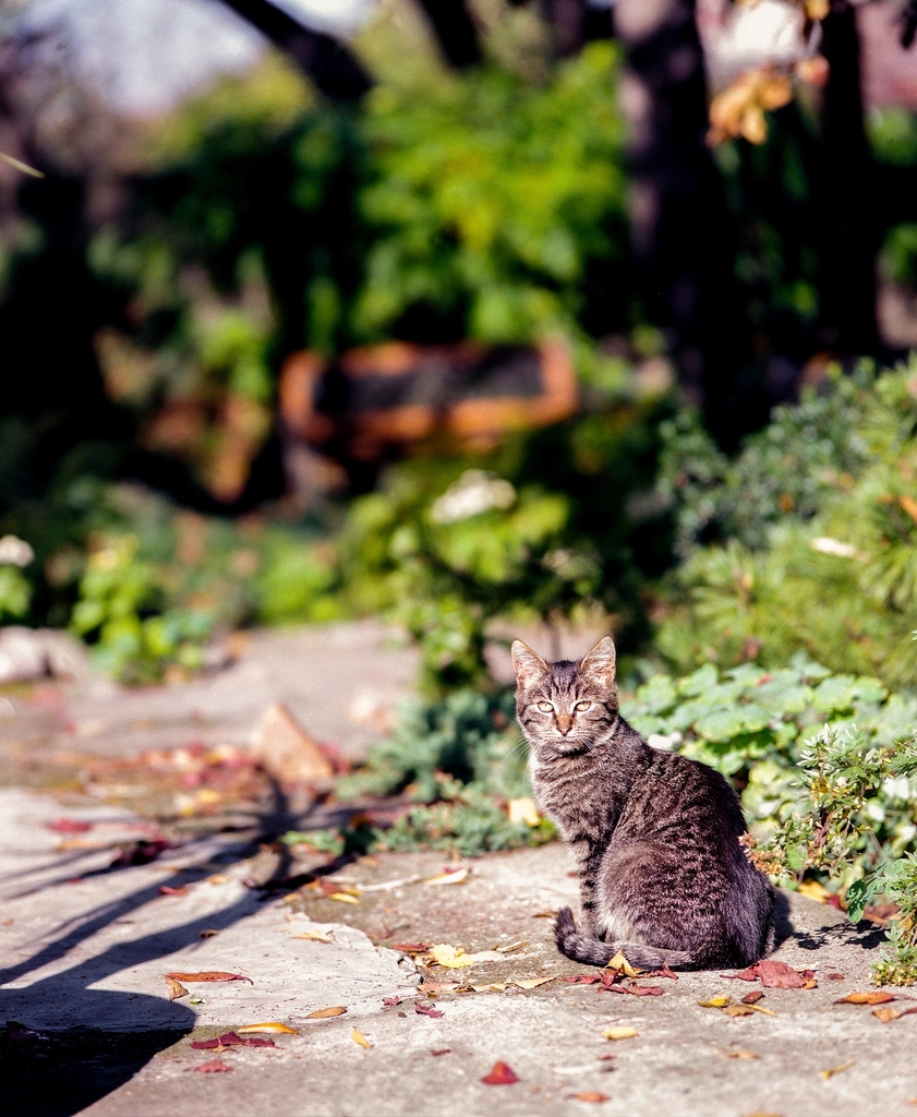 Seeking Eye Contact (image credits: rawpixel)