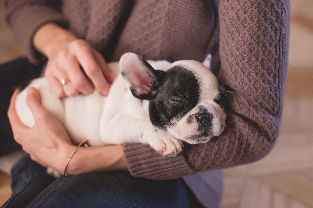 They Inspire Loyalty Through Mutual Respect (image credits: pixabay)