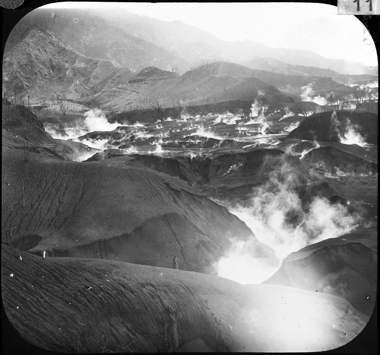 Interacting on Their Terms (image credits: wikimedia)