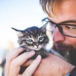 man, kitten, pet, owner, kitty, tabby, cat, gray tabby, tabby cat, adorable, animal, cute, feline, caring, hands, holding, portrait, man, kitten, kitten, kitten, kitten, kitten, kitty, cat, nature, cat, cat, caring, caring, caring
