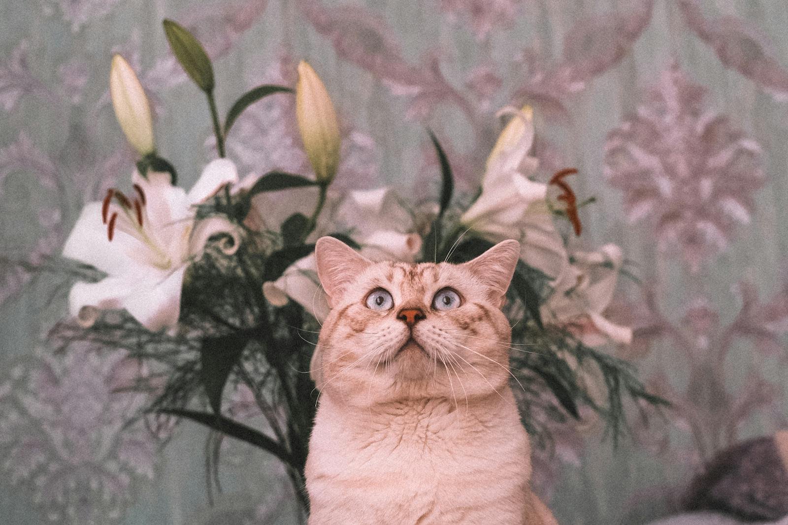 Adorable cat sitting in front of a bouquet of lilies indoors with vintage wallpaper.