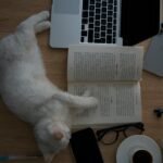 A relaxing scene with a cat sleeping on a book near a laptop and coffee on a desk.