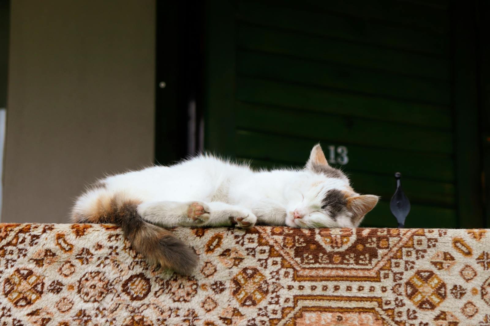 Calico cat comfortably napping on an outdoor patterned carpet, creating a cozy and tranquil scene.