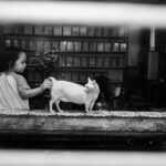 A child gently pets a cat in a cozy, dimly lit, indoor setting. Black and white photo.
