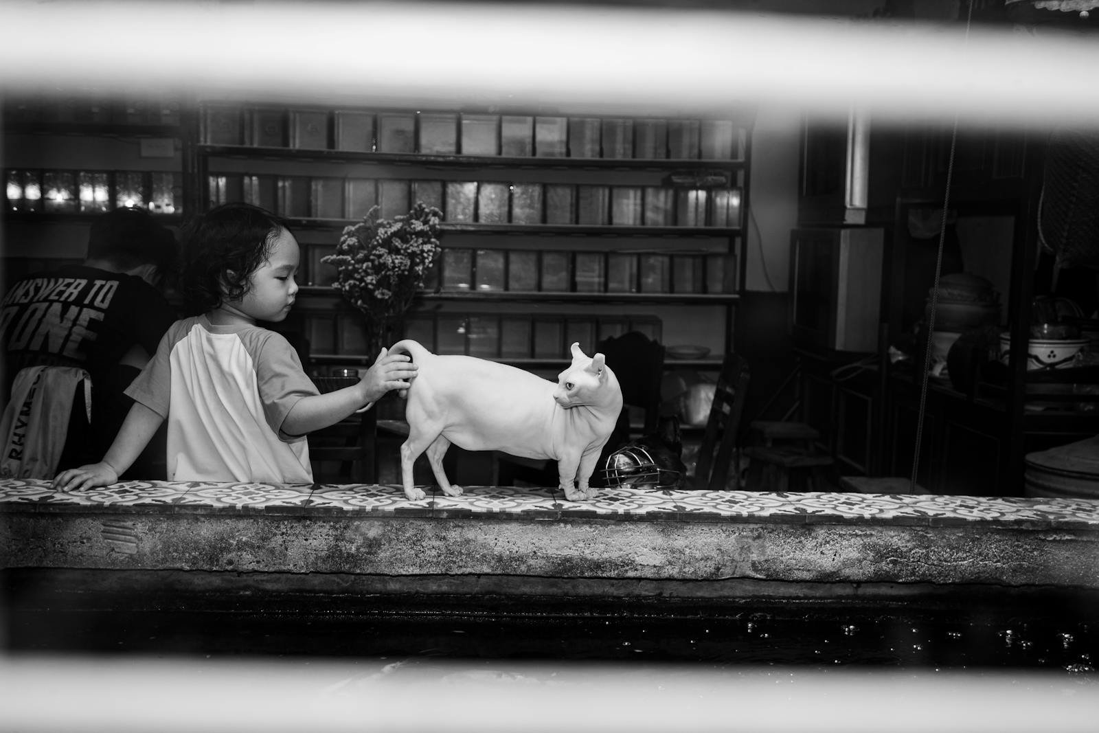 A child gently pets a cat in a cozy, dimly lit, indoor setting. Black and white photo.