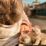 A child gently petting two cute kittens in a sunny outdoor environment.