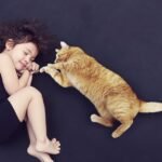 girl, roll, sleep, comfortable, child, animal, soft, cute, lie, cat, friends, friendship, dream, break, time out, domestic animal, domestic cat, together, trust, baby-sitter, protector, fur, lazing around, pet, loyal to, sleep, cat, cat, cat, friendship, trust, trust, trust, trust, trust