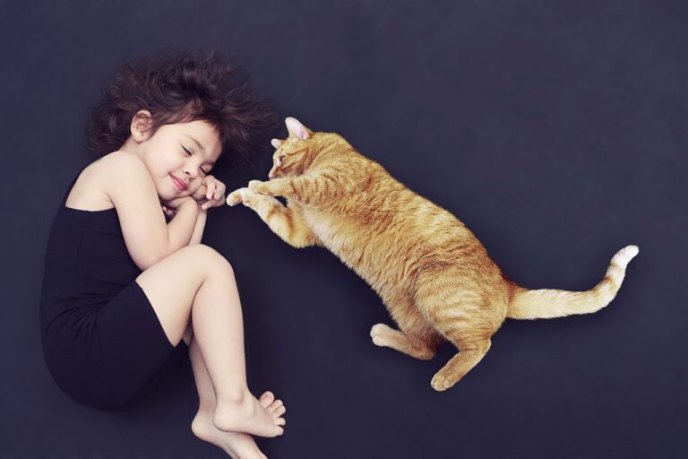 girl, roll, sleep, comfortable, child, animal, soft, cute, lie, cat, friends, friendship, dream, break, time out, domestic animal, domestic cat, together, trust, baby-sitter, protector, fur, lazing around, pet, loyal to, sleep, cat, cat, cat, friendship, trust, trust, trust, trust, trust