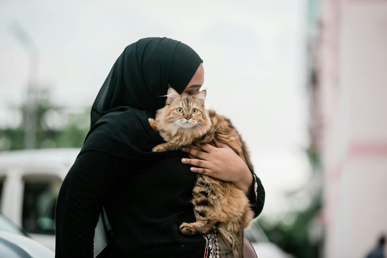 Middle Eastern woman holding a fluffy cat outdoors, wearing a hijab.