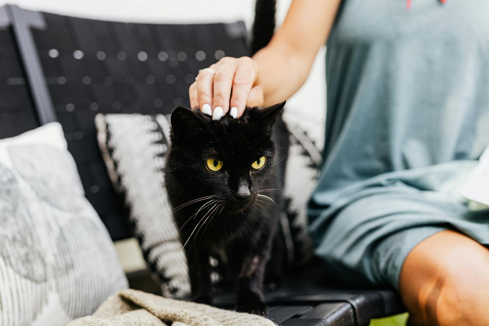 A woman gently pets a black cat sitting indoors on a stylish couch.