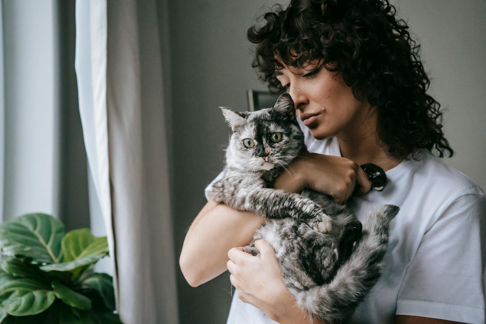 A woman lovingly cuddles her gray cat by the window, capturing a serene moment indoors.