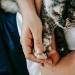 A woman gently holding a cat's paw, showcasing a tender moment of companionship.