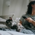 Focused female with cellphone stroking adorable cat while resting on bed and looking away in house