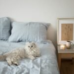 Comfortable bedroom featuring a fluffy white cat lounging on a bed next to a candlelit side table.