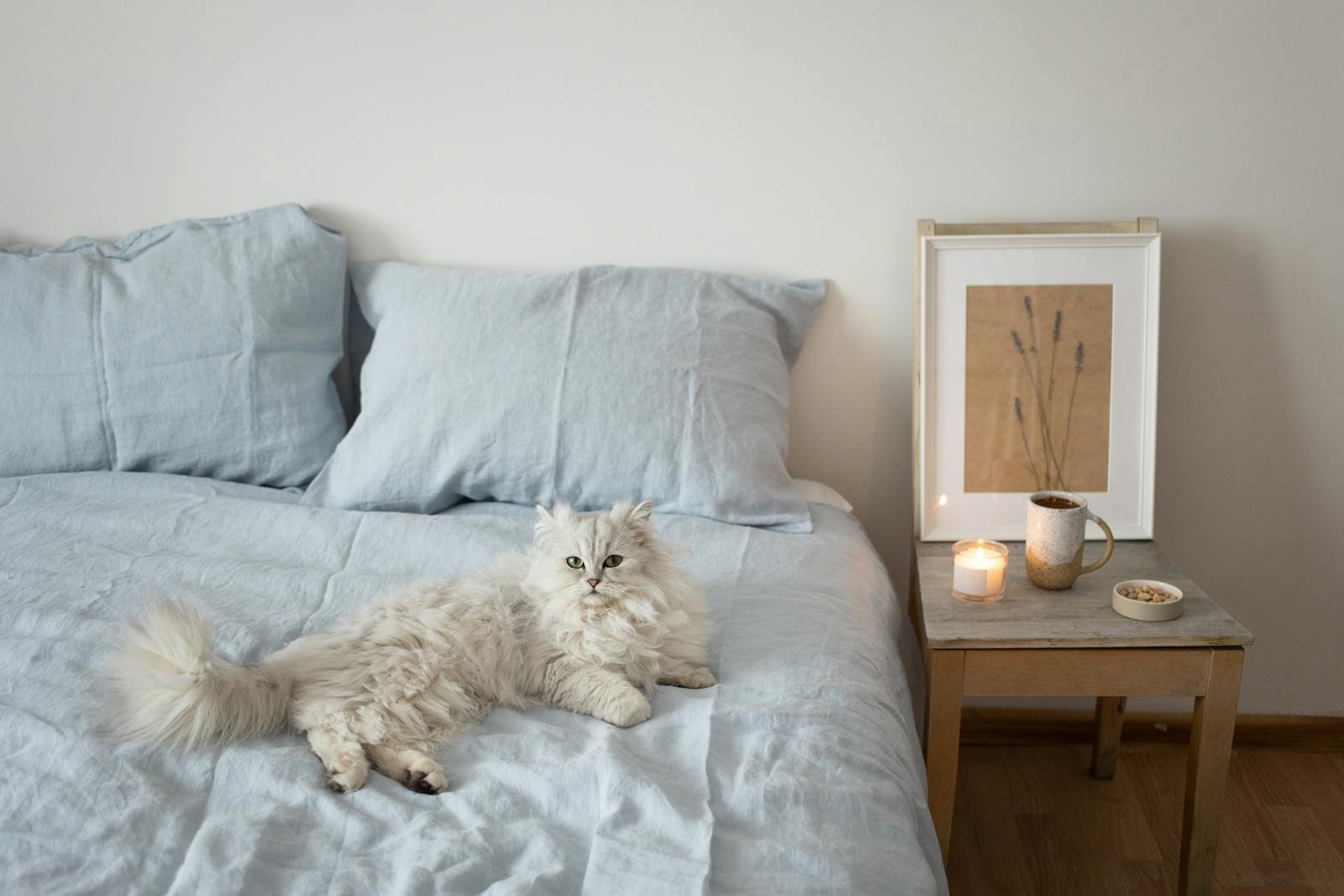 Comfortable bedroom featuring a fluffy white cat lounging on a bed next to a candlelit side table.