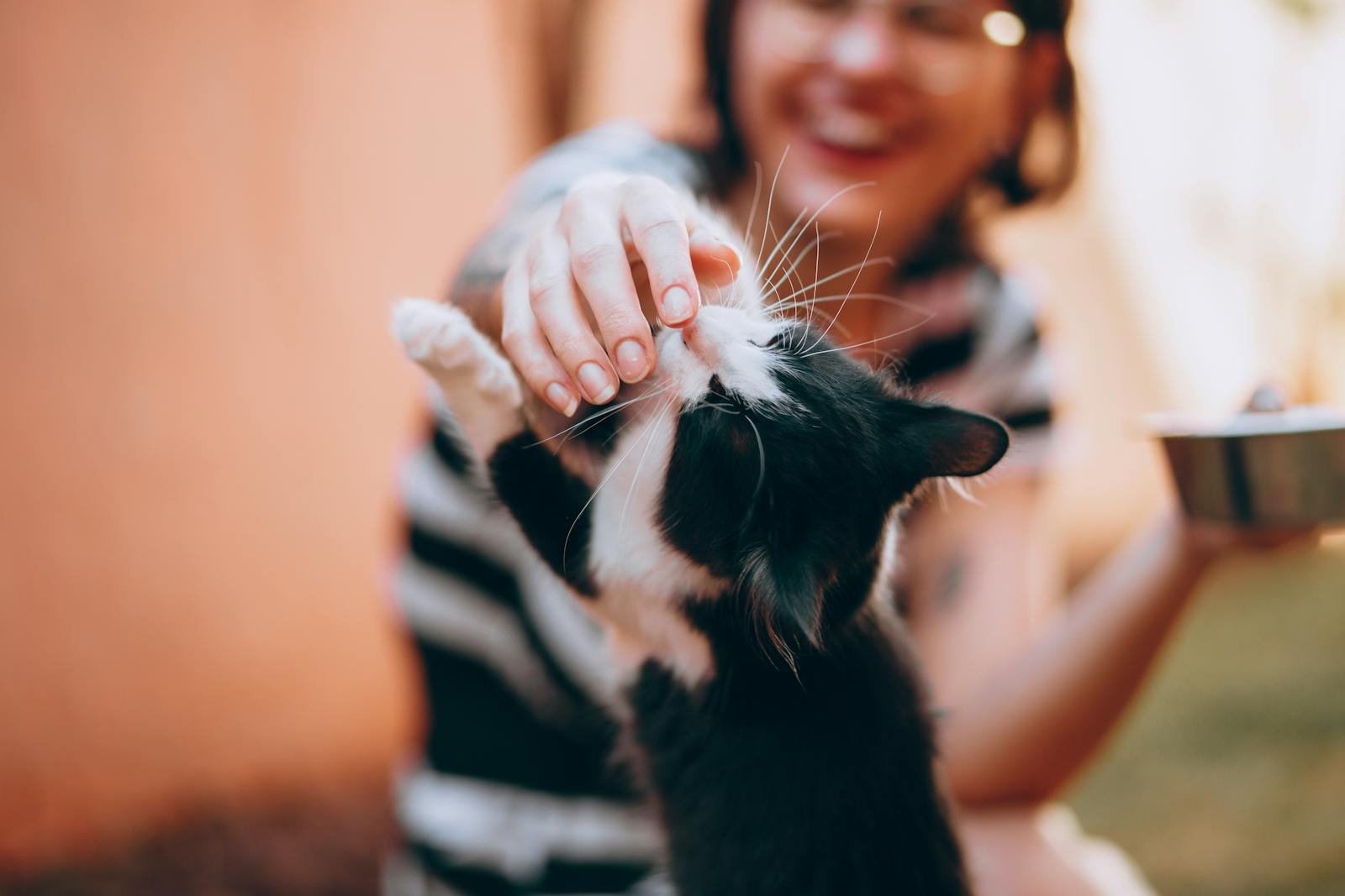 A joyful woman petting a friendly black and white cat outdoors on a sunny day.