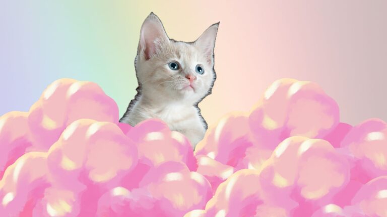 10 Messages Your Cat Might Send You From Beyond the Rainbow Bridge