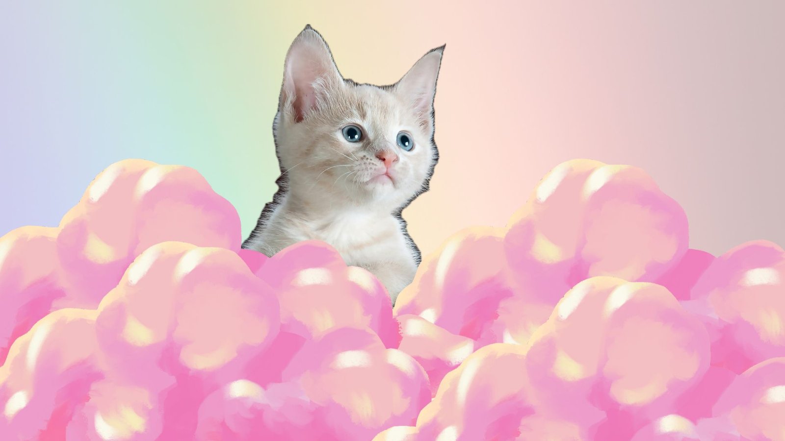 10 Messages Your Cat Might Send You From Beyond the Rainbow Bridge