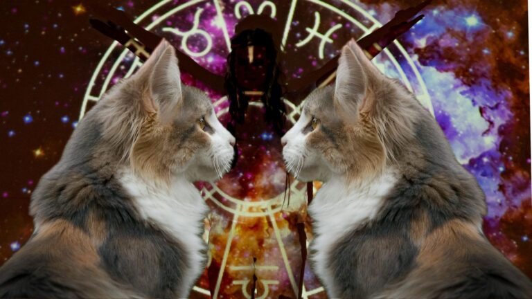 The Most Compatible Cat Breeds for Every Zodiac Sign