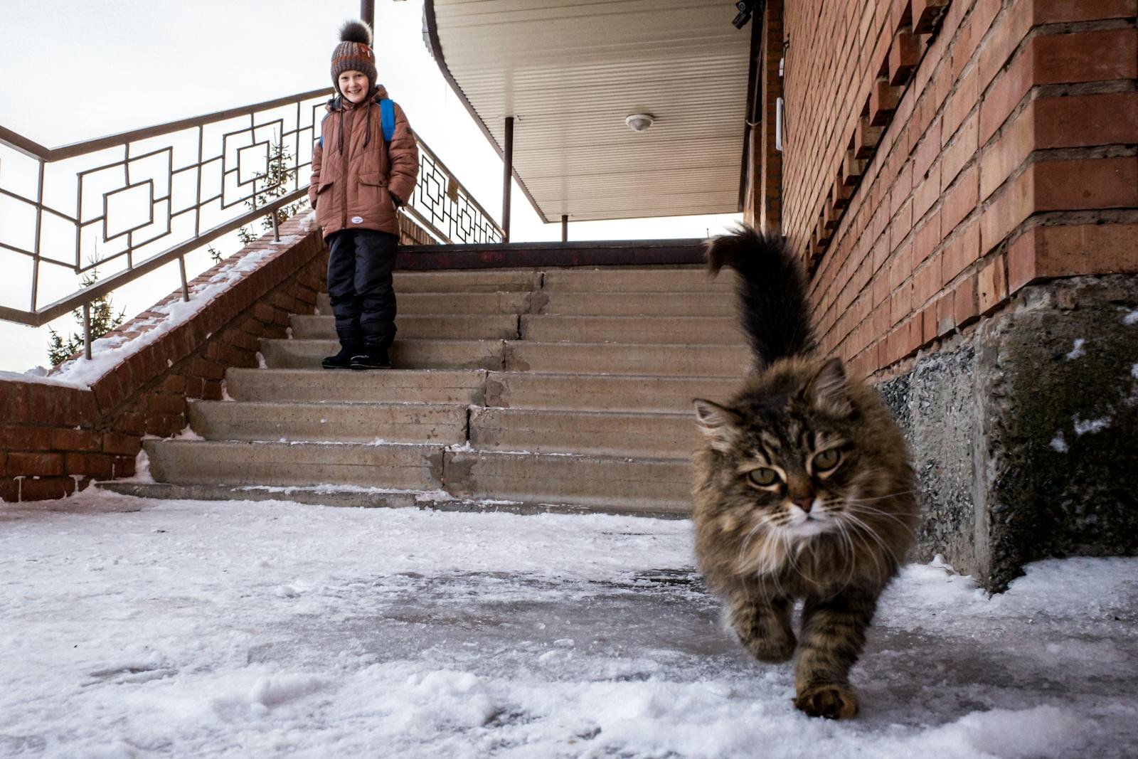 A boy in winter clothing with a cat walking on snowy stairs outside a brick building.