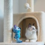 Adorable Ragdoll kitten relaxing on a plush cat tree beside a blue plush toy indoors.