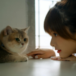 A young woman engaging with a fluffy cat in a cozy indoor setting.