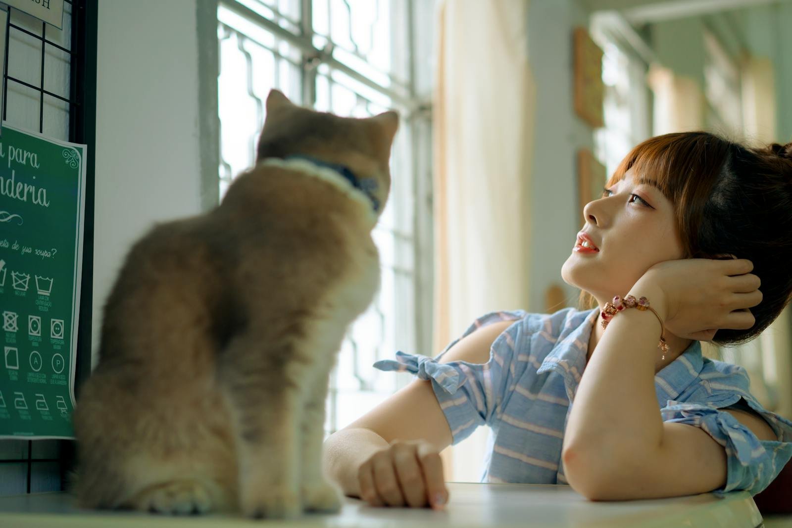 An Asian woman gazes thoughtfully beside a curious cat indoors.
