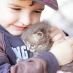 A cute scene depicting a child holding a fluffy kitten with care and affection.