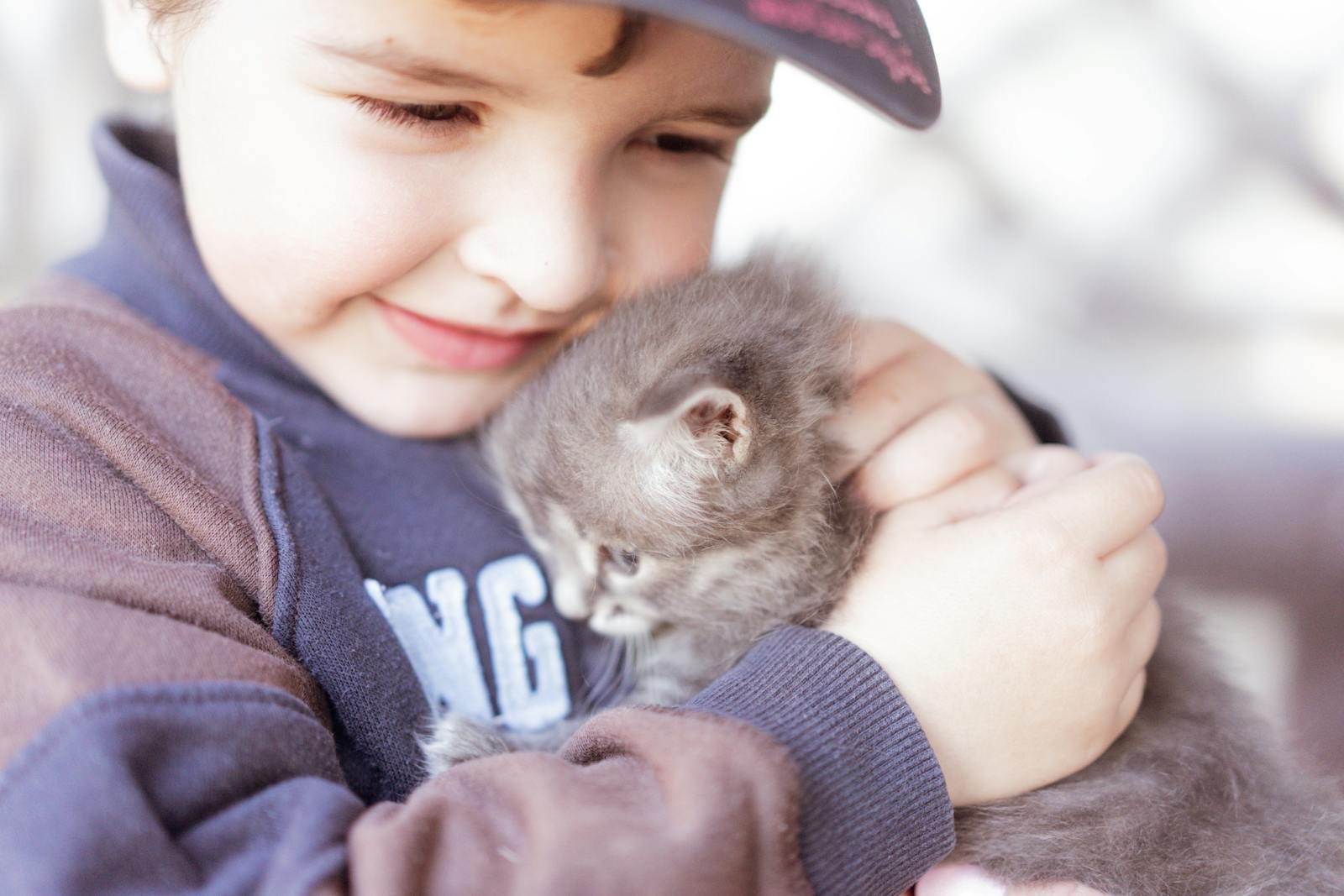 A cute scene depicting a child holding a fluffy kitten with care and affection.